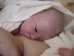 Ąāņīš: Rožytė
Dydis: 640x480, 60246 baitų
Atnaujinta: 21-01-2005, 19:30
Peržiūrų: išj
''Už'' balsavo: 6
Reitingas: 0.76