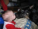 Ąāņīš: ~♥KaipTaiKaip♥~
Dydis: 640x480, 71092 baitų
Atnaujinta: 15-04-2005, 15:59
Peržiūrų: išj
''Už'' balsavo: 3
Reitingas: 0.45