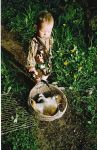 Ąāņīš: Vilkute
Dydis: 288x444, 51879 baitų
Atnaujinta: 23-06-2005, 14:57
Peržiūrų: išj
''Už'' balsavo: 2
Reitingas: 0.31