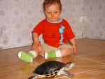 Ąāņīš: Julena
Dydis: 500x375, 89407 baitų
Atnaujinta: 29-06-2005, 20:10
Peržiūrų: išj
''Už'' balsavo: 1
Reitingas: 0.15