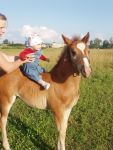 Ąāņīš: Indriuske
Dydis: 480x640, 72892 baitų
Atnaujinta: 25-07-2005, 10:30
Peržiūrų: išj
''Už'' balsavo: 3
Reitingas: 0.52