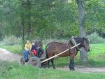 Ąāņīš:
Dydis: 640x482, 73775 baitų
Atnaujinta: 26-07-2005, 9:32
Peržiūrų: išj
''Už'' balsavo: 16
Reitingas: 2.79