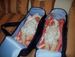 Ąāņīš: Double Latte
Dydis: 640x480, 55385 baitų
Atnaujinta: 19-12-2005, 15:15
Peržiūrų: išj
''Už'' balsavo: 12
Reitingas: 1.58