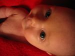 Ąāņīš: Taigi
Dydis: 640x480, 48870 baitų
Atnaujinta: 20-12-2005, 18:04
Peržiūrų: išj
''Už'' balsavo: 25
Reitingas: 3.28