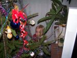 Ąāņīš: Melodyy
Dydis: 640x480, 78401 baitų
Atnaujinta: 03-01-2006, 16:24
Peržiūrų: išj
''Už'' balsavo: 0
Reitingas: 0