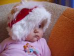 Ąāņīš: Peperoni
Dydis: 640x480, 273733 baitų
Atnaujinta: 04-01-2006, 16:00
Peržiūrų: išj
''Už'' balsavo: 11
Reitingas: 1.09