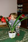 Ąāņīš: *Fortūna*
Dydis: 429x640, 59918 baitų
Atnaujinta: 06-03-2006, 9:14
Peržiūrų: išj
''Už'' balsavo: 3
Reitingas: 0.28