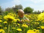 Ąāņīš: zave
Dydis: 640x479, 87059 baitų
Atnaujinta: 30-07-2006, 13:59
Peržiūrų: išj
''Už'' balsavo: 16
Reitingas: 0.88
