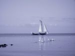 Ąāņīš: Samanta
Dydis: 640x479, 20430 baitų
Atnaujinta: 16-08-2006, 13:41
Peržiūrų: išj
''Už'' balsavo: 10
Reitingas: 1.15