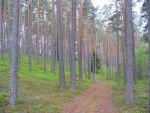 Ąāņīš: Mažulėlė
Dydis: 640x480, 83047 baitų
Atnaujinta: 17-08-2006, 8:41
Peržiūrų: išj
''Už'' balsavo: 5
Reitingas: 0.57