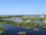 Ąāņīš: ievast
Dydis: 640x480, 46056 baitų
Atnaujinta: 17-08-2006, 10:46
Peržiūrų: išj
''Už'' balsavo: 3
Reitingas: 0.34