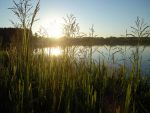 Ąāņīš:
Dydis: 418x314, 171249 baitų
Atnaujinta: 19-08-2006, 16:42
Peržiūrų: išj
''Už'' balsavo: 0
Reitingas: 0