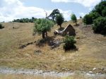 Ąāņīš:
Dydis: 640x480, 68349 baitų
Atnaujinta: 21-08-2006, 16:17
Peržiūrų: išj
''Už'' balsavo: 1
Reitingas: 0.12