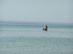 Ąāņīš: Yuko
Dydis: 572x428, 148378 baitų
Atnaujinta: 22-08-2006, 22:15
Peržiūrų: išj
''Už'' balsavo: 2
Reitingas: 0.23