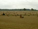 Ąāņīš: Betukas
Dydis: 640x480, 42674 baitų
Atnaujinta: 27-08-2006, 17:19
Peržiūrų: išj
''Už'' balsavo: 5
Reitingas: 0.57