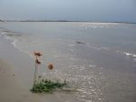 Ąāņīš: vaivora
Dydis: 640x480, 36082 baitų
Atnaujinta: 30-08-2006, 14:45
Peržiūrų: išj
''Už'' balsavo: 1
Reitingas: 0.12