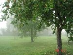 Ąāņīš: jumila
Dydis: 640x480, 71952 baitų
Atnaujinta: 31-08-2006, 8:39
Peržiūrų: išj
''Už'' balsavo: 18
Reitingas: 2.06