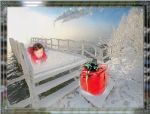 Ąāņīš: Avaida
Dydis: 400x304, 28688 baitų
Atnaujinta: 15-12-2006, 19:24
Peržiūrų: išj
''Už'' balsavo: 1
Reitingas: 0.13