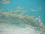 : Kitoks 
Dydis: 640x480, 88945 bait 
Atnaujinta: 06-03-2007, 11:38
Perir: ij
''U'' balsavo: 1
Reitingas: 0.12