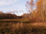 Ąāņīš: shypsena
Dydis: 640x480, 73114 baitų
Atnaujinta: 07-11-2007, 13:59
Peržiūrų: išj
''Už'' balsavo: 4
Reitingas: 0.44