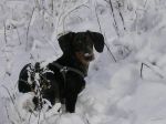 Ąāņīš: Deika
Dydis: 640x479, 40437 baitų
Atnaujinta: 09-03-2008, 23:49
Peržiūrų: išj
''Už'' balsavo: 4
Reitingas: 0.18