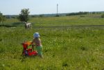 Ąāņīš: Brunhilda
Dydis: 640x429, 64059 baitų
Atnaujinta: 15-06-2008, 16:19
Peržiūrų: išj
''Už'' balsavo: 0
Reitingas: 0