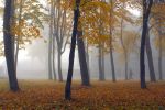 Ąāņīš: Degutė
Dydis: 640x427, 69397 baitų
Atnaujinta: 20-10-2008, 20:17
Peržiūrų: išj
''Už'' balsavo: 32
Reitingas: 3.42
Viso: II vieta