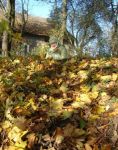 Ąāņīš: *zuikulis*
Dydis: 500x638, 135441 baitų
Atnaujinta: 22-10-2008, 12:07
Peržiūrų: išj
''Už'' balsavo: 2
Reitingas: 0.21