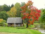 Ąāņīš: spaNguolė
Dydis: 640x480, 141995 baitų
Atnaujinta: 25-10-2008, 15:39
Peržiūrų: išj
''Už'' balsavo: 21
Reitingas: 2.25