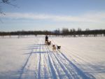 Ąāņīš: Gratis
Dydis: 640x480, 41772 baitų
Atnaujinta: 29-01-2009, 14:32
Peržiūrų: išj
''Už'' balsavo: 11
Reitingas: 0.39