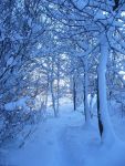 Ąāņīš: LuckyLay
Dydis: 480x640, 85719 baitų
Atnaujinta: 29-01-2009, 18:21
Peržiūrų: išj
''Už'' balsavo: 5
Reitingas: 0.18