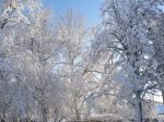 Ąāņīš: JOLKA999
Dydis: 640x480, 105209 baitų
Atnaujinta: 30-01-2009, 15:40
Peržiūrų: išj
''Už'' balsavo: 2
Reitingas: 0.07