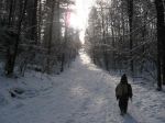 Ąāņīš: zuikeliuke
Dydis: 448x336, 35037 baitų
Atnaujinta: 01-02-2009, 16:35
Peržiūrų: išj
''Už'' balsavo: 5
Reitingas: 0.18