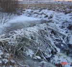 Ąāņīš: auroryte
Dydis: 640x592, 123573 baitų
Atnaujinta: 02-02-2009, 0:01
Peržiūrų: išj
''Už'' balsavo: 0
Reitingas: 0
