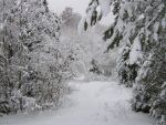 Ąāņīš: aistukasz
Dydis: 640x480, 93079 baitų
Atnaujinta: 02-02-2009, 16:38
Peržiūrų: išj
''Už'' balsavo: 7
Reitingas: 0.25