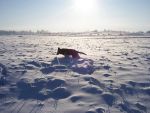 Ąāņīš: Shatura
Dydis: 574x431, 61640 baitų
Atnaujinta: 02-02-2009, 20:09
Peržiūrų: išj
''Už'' balsavo: 9
Reitingas: 0.32