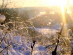 Ąāņīš: solo
Dydis: 640x480, 50139 baitų
Atnaujinta: 03-02-2009, 17:55
Peržiūrų: išj
''Už'' balsavo: 3
Reitingas: 0.11