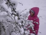 Ąāņīš: rriittaaa
Dydis: 640x480, 48372 baitų
Atnaujinta: 03-02-2009, 18:43
Peržiūrų: išj
''Už'' balsavo: 1
Reitingas: 0.04