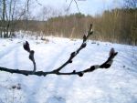 Ąāņīš: Fiolita
Dydis: 640x480, 49195 baitų
Atnaujinta: 05-03-2009, 19:54
Peržiūrų: išj
''Už'' balsavo: 3
Reitingas: 0.32