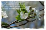 Ąāņīš: *Dita*
Dydis: 640x428, 39627 baitų
Atnaujinta: 29-04-2009, 20:31
Peržiūrų: išj
''Už'' balsavo: 6
Reitingas: 0.76