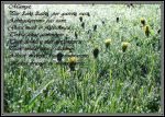 Ąāņīš: Rituxx
Dydis: 640x455, 122954 baitų
Atnaujinta: 01-05-2009, 19:26
Peržiūrų: išj
''Už'' balsavo: 6
Reitingas: 0.76