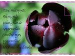 Ąāņīš: Medona
Dydis: 640x483, 84816 baitų
Atnaujinta: 04-05-2009, 23:03
Peržiūrų: išj
''Už'' balsavo: 10
Reitingas: 1.26