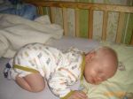 Ąāņīš: Svyturys29
Dydis: 448x336, 71225 baitų
Atnaujinta: 02-10-2009, 16:19
Peržiūrų: išj
''Už'' balsavo: 0
Reitingas: 0
