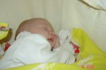 Ąāņīš:
Dydis: 640x427, 126885 baitų
Atnaujinta: 03-10-2009, 11:07
Peržiūrų: išj
''Už'' balsavo: 0
Reitingas: 0