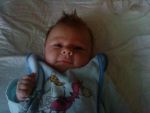 Ąāņīš: |kyo
Dydis: 512x384, 37613 baitų
Atnaujinta: 06-05-2010, 18:22
Peržiūrų: išj
''Už'' balsavo: 0
Reitingas: 0