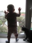 Ąāņīš: Murrr
Dydis: 480x640, 82992 baitų
Atnaujinta: 12-10-2010, 16:48
Peržiūrų: išj
''Už'' balsavo: 5
Reitingas: 0.46