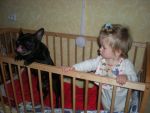 Ąāņīš: MeLady
Dydis: 640x480, 96034 baitų
Atnaujinta: 13-10-2010, 13:12
Peržiūrų: išj
''Už'' balsavo: 1
Reitingas: 0.09