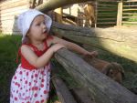 Ąāņīš: laurikeee
Dydis: 640x480, 61258 baitų
Atnaujinta: 13-10-2010, 14:41
Peržiūrų: išj
''Už'' balsavo: 1
Reitingas: 0.09