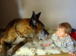 Ąāņīš: goodly
Dydis: 640x477, 70933 baitų
Atnaujinta: 13-10-2010, 13:14
Peržiūrų: išj
''Už'' balsavo: 19
Reitingas: 1.74