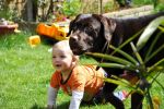 Ąāņīš: zana33
Dydis: 640x426, 65401 baitų
Atnaujinta: 13-10-2010, 18:21
Peržiūrų: išj
''Už'' balsavo: 18
Reitingas: 1.65
